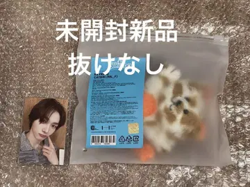 BOYNEXTDOOR 송호 펑크드 봉제 인형 키링