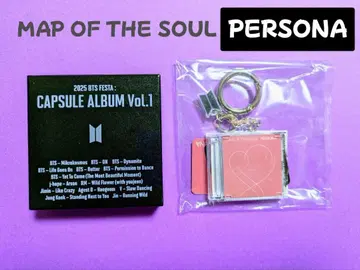 BTS 공식 2025 FESTA CAPSULE ALBUM