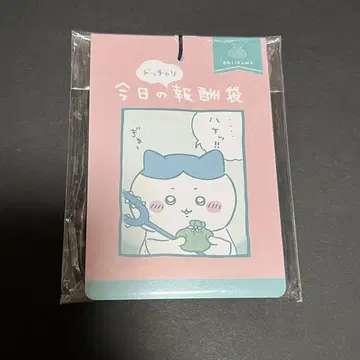 오늘의 보상 가방