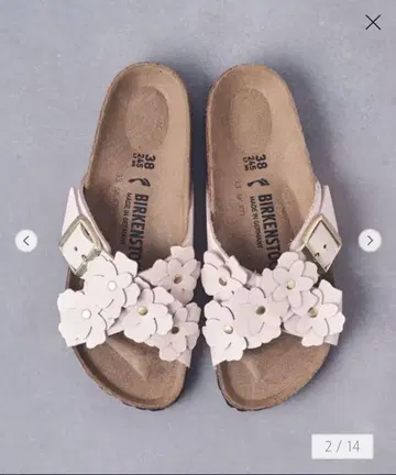 유나이티드 애로우즈 별주 버켄스탁 SIENA / FLW 36