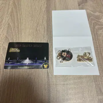 we love 빅뱅 비트 참 컬렉션 카드 미키
