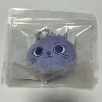 BOYNEXTDOOR 얼굴 키링 송호 CATBBI