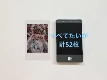 팬더 드래곤 타이카 하피카 폴라로이드 52장 세트