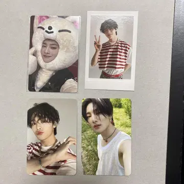 straykids MAXIDENT 한정판 SKZOO 인형옷 아이엔