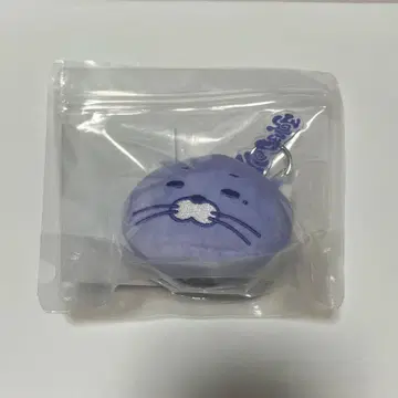 BOYNEXTDOOR 보넥도 BBNEXDO 푸넥도 키링 리우