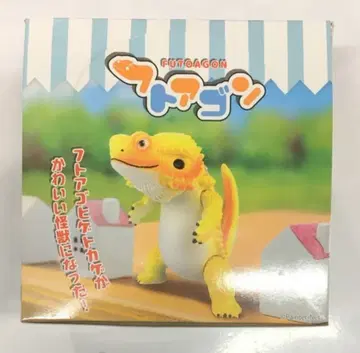 SO-TA 푹아곤 1박스