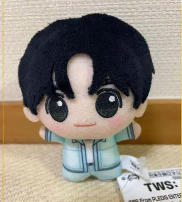 TWS SD 인형 한진