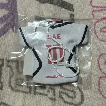 블루 록 블루 록 전 에고 전 부적 이토시 사에