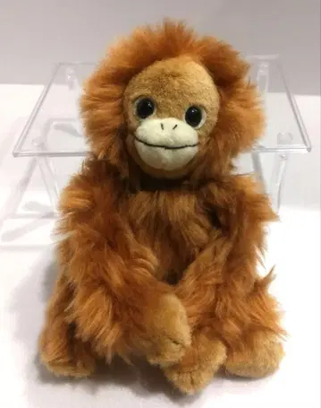 아사히야마 동물원 오란우탄 봉제 인형 홋카이도 Zoo
