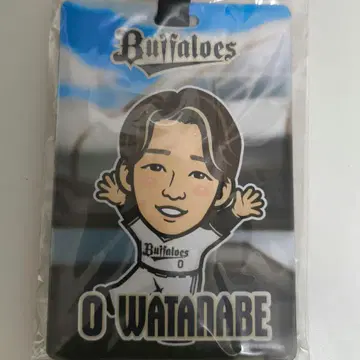 오릭스 버팔로스 에어 복권 B상 와타베 료토 선수