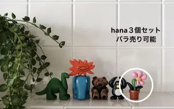 콘도 다이스케 kondoudaisuke 가챠가챠 hana