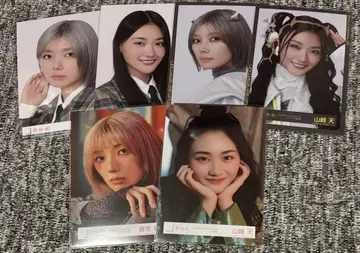 사쿠라자카46 브로마이드 요리