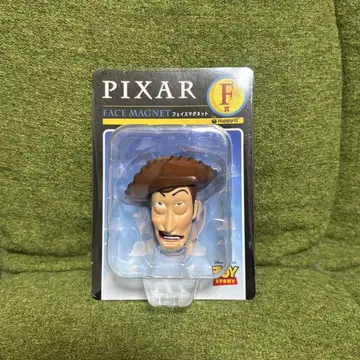 픽사 복권 우디 페이스 마그넷