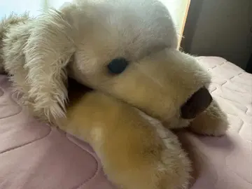 토이저러스 골든 리트리버 특대형 봉제 인형 BIG 개 개 dog
