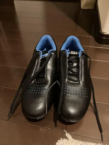 CLUNK 크랭크 골프화 남성용 27cm
