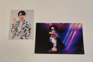 POP!! 시크 요스케 씨