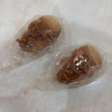 반다이 가챠가챠 생물대도감 오오쿠와가타 번데기