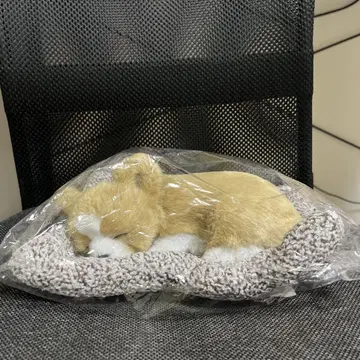 스야스야 잠든 강아지 약 30cm