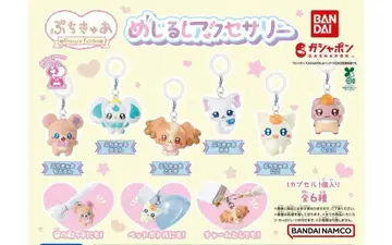 B-53 컴프  PrecureFairies 메지루시 액세서리