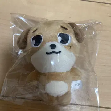 DAY6 데니말즈 다운 봉제 인형 참