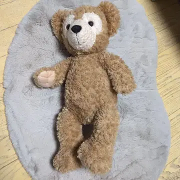 닷피 브라운 곰 봉제 인형 약 30cm