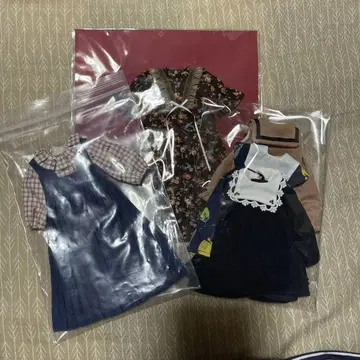 네오 브라이스 아웃핏 정리