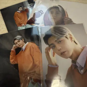 세이아 뮤직 글로브