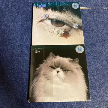 카네코 아야노 샨샨 축제 CD 2장