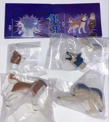 은이빨 별똥별 은 피규어 컬렉션 완전판 리키 존