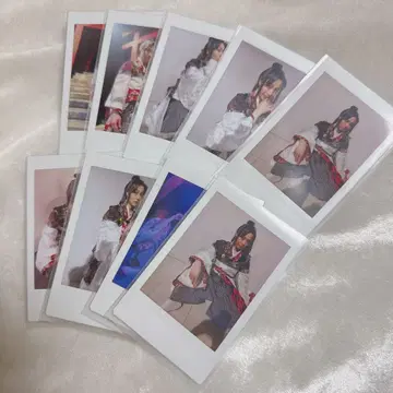 쿠가 쿄헤이 카미시바이 개 폴라로이드