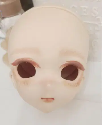 돌피드림 MDD 커스텀 헤드