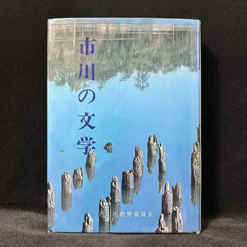 시카와의 문학