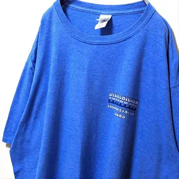 길단 디키 치킨 텍사스 로고 티셔츠 블루 파랑 2XL 구제 의류