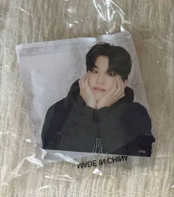 TREASURE 정우 캡슐 토이 클립