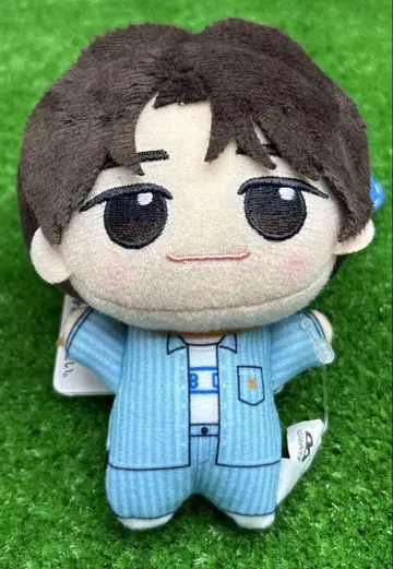 TWS SD 인형 SHINYU (시뉴) SHINYU 시뉴 신유 TWS