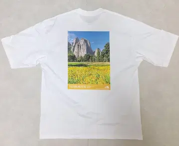 THE NORTH FACE 노스페이스 반팔 티셔츠 남성용 L