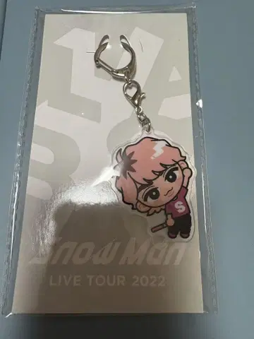 Snow Man LIVE TOUR 2022 키링