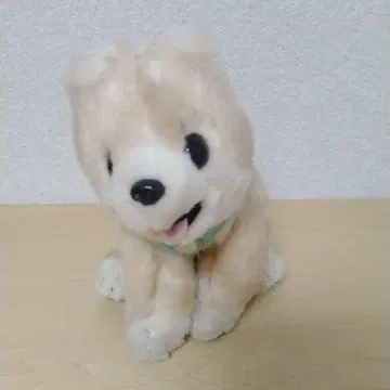 슌스케 포메라니안 봉제 인형 개