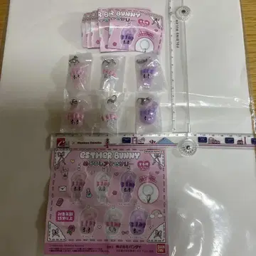 가챠 ESTHER BUNNY 메지루시 액세서리 전 6종 컴프 세트입니다.