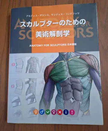 스컬프터를 위한 미술 해부학