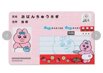 아베일 마이 넘버 커버 + 카드 세트 (빤쮸토끼)