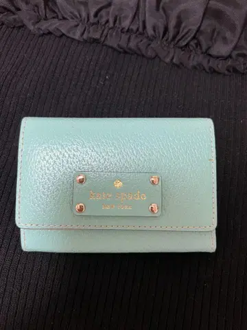 kate spade 민트 그린 패스 케이스 소품함