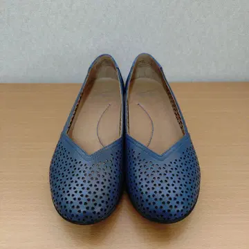 단스코 36