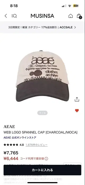 AEAE 웹 로고 5패널 캡