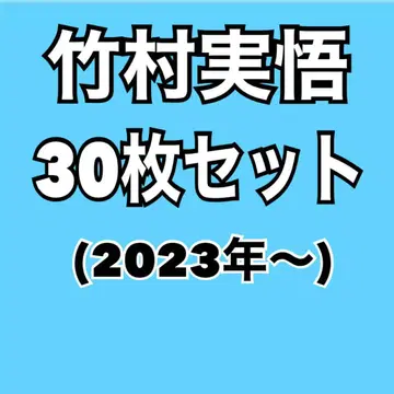 타케무라 미고 공식 사진 30장 세트