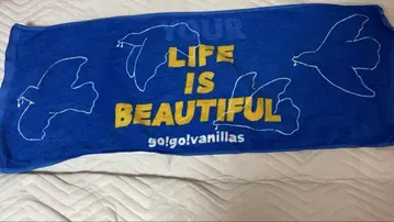 go!go!vanillas 페이스타월