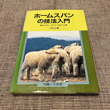 홈스펀 기법 입문