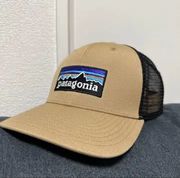 Patagonia 베이지 메쉬 캡