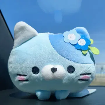 쫄깃쫄깃! 롤링 냥코 이바라키 한정판 네모피라냥