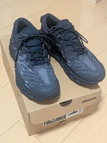 WAVE MUJIN LS GTX 26.5cm